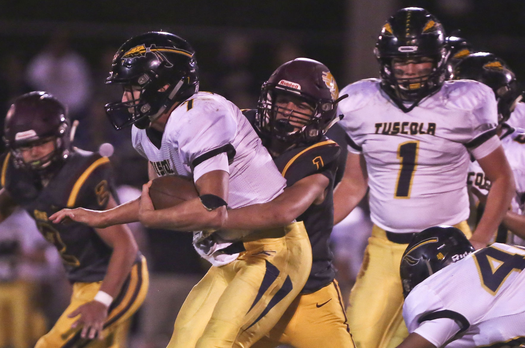 6. Tuscola